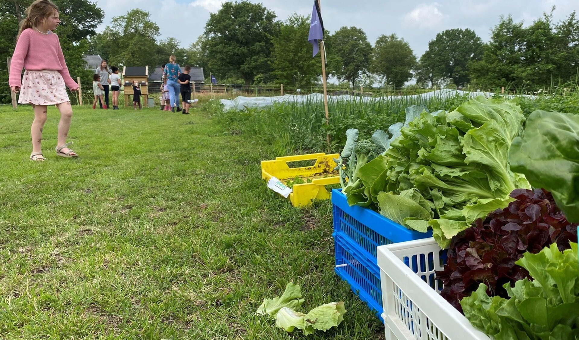 Foto: Omrop Fryslân, Ronnie Porte