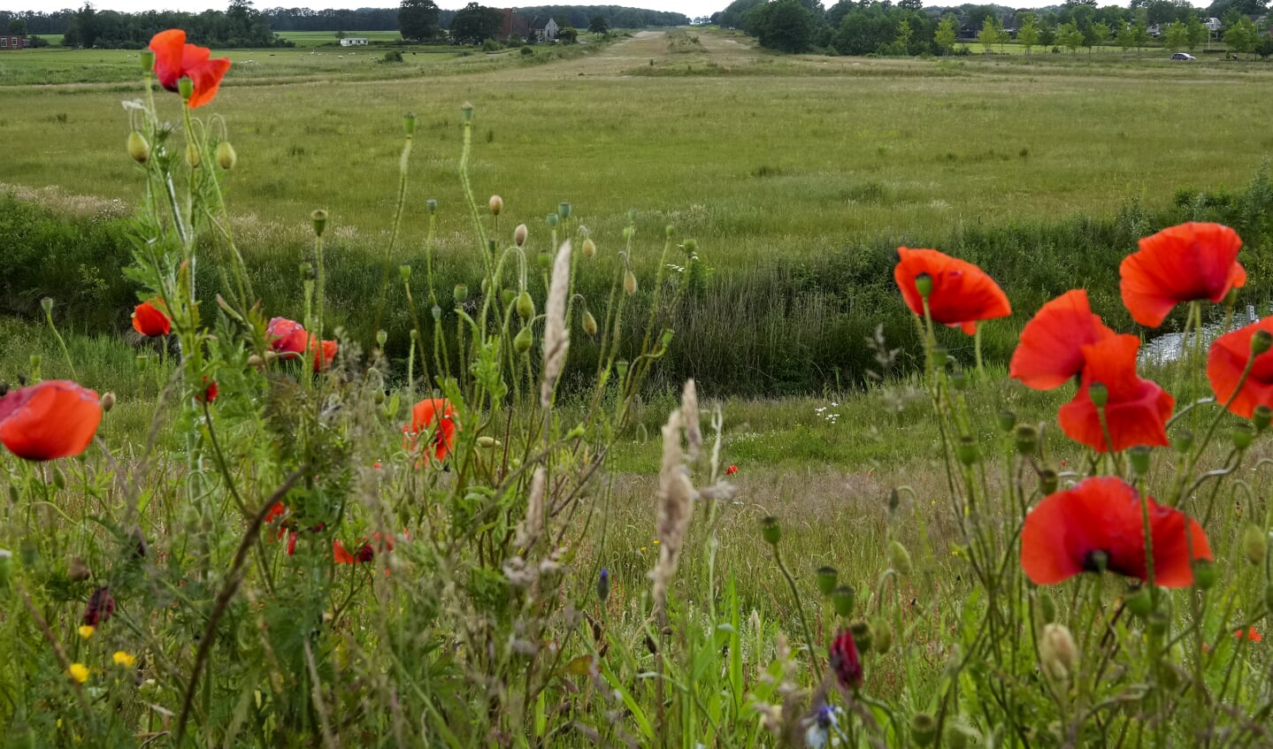 Foto Gewoan Dwaan / Douwe Bijlsma