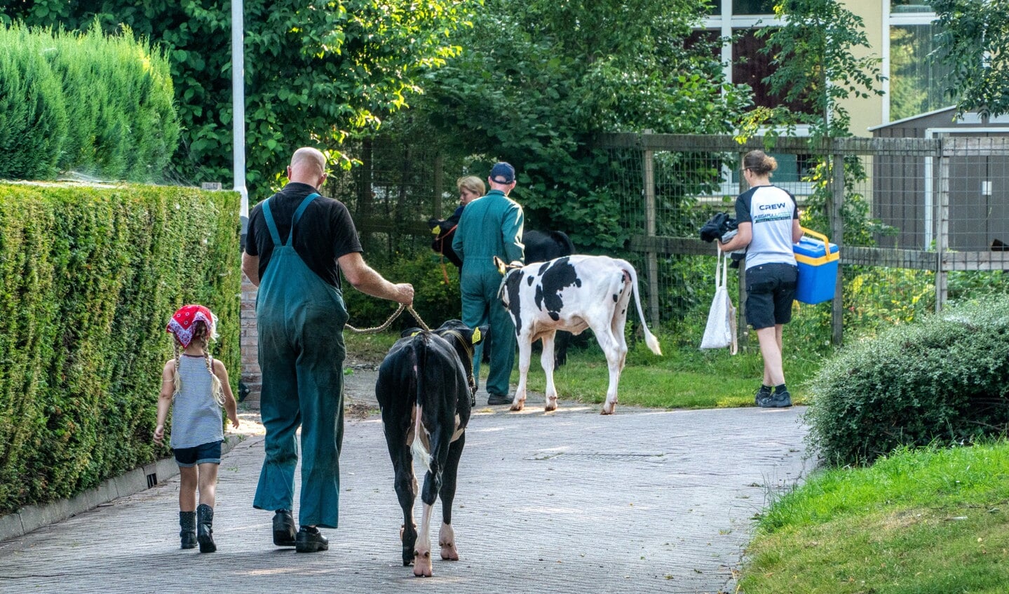 Foto Folkert Folkertsma