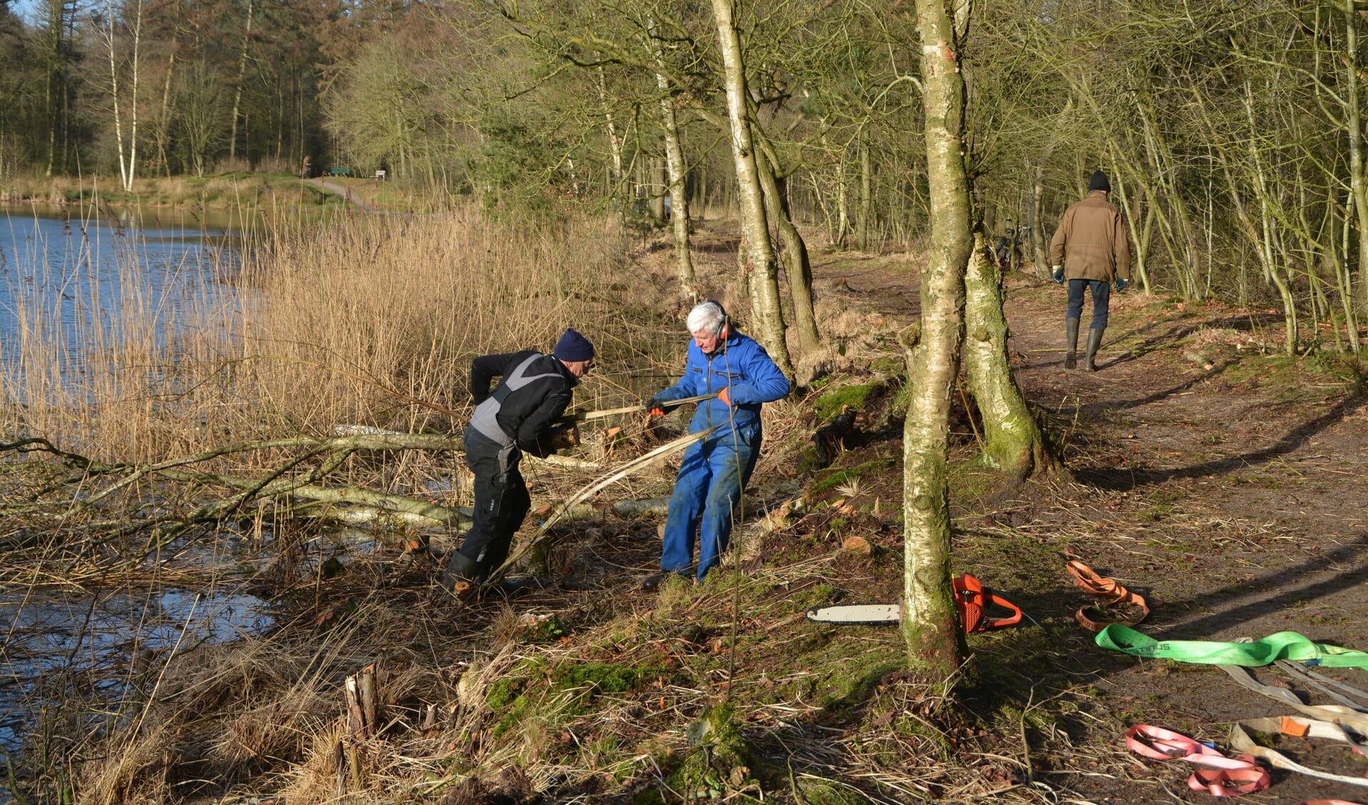 Groot onderhoud aan de Vegelinbossen Foto Thewes Hoekstra