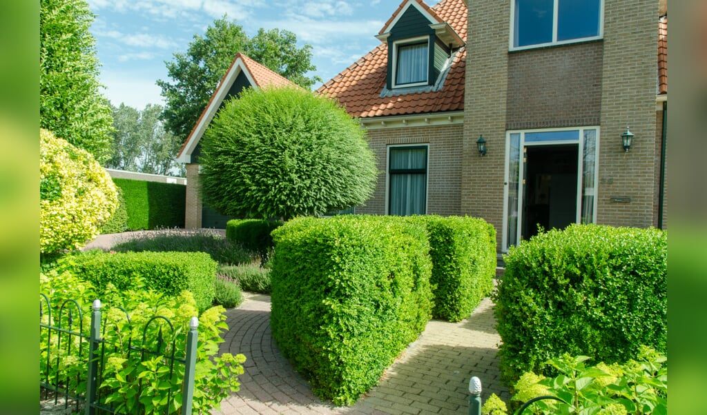 Afbeelding