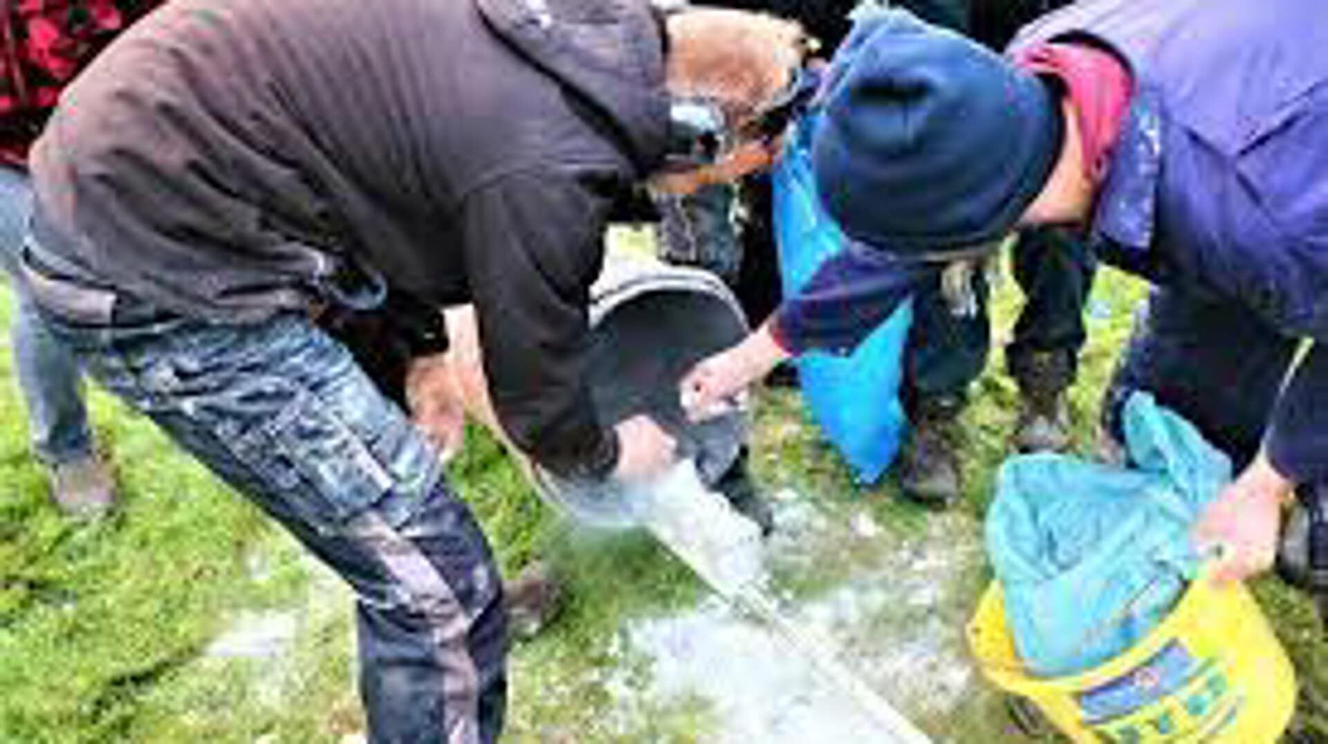 Carbidschieten in gemeente Súdwest-Fryslân