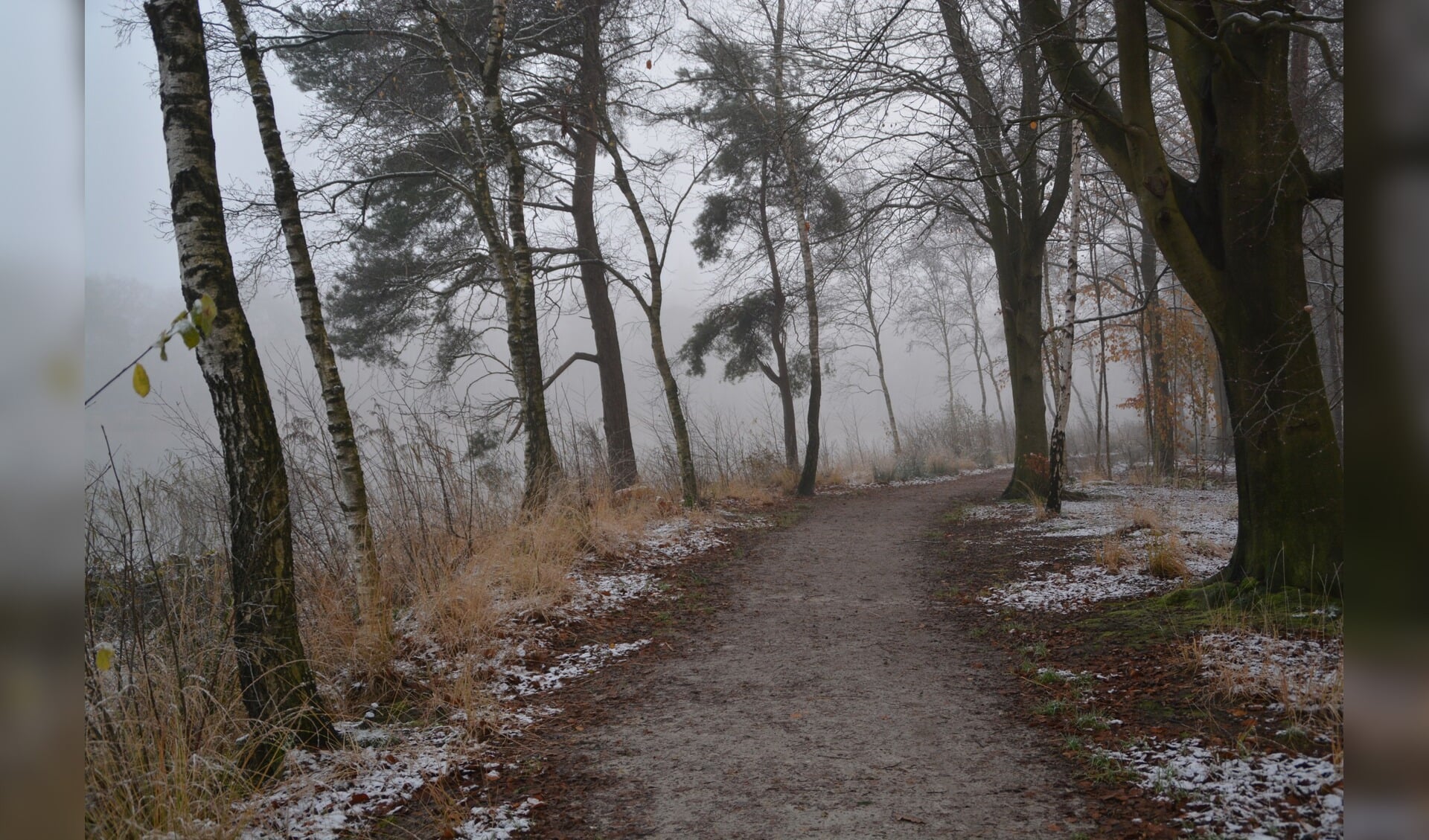 Winterse aanblik rond de bosvijver in de Vegenlinbossen.