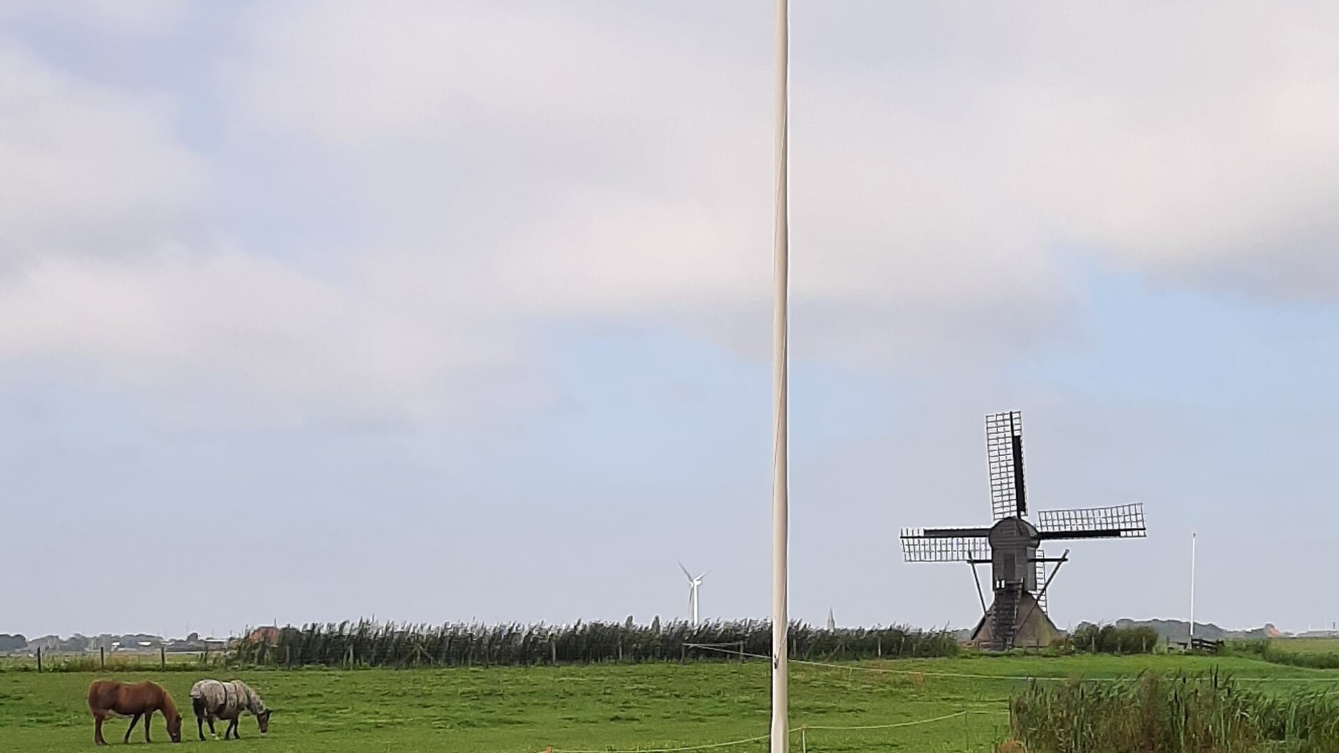 Molen Nijhuizum