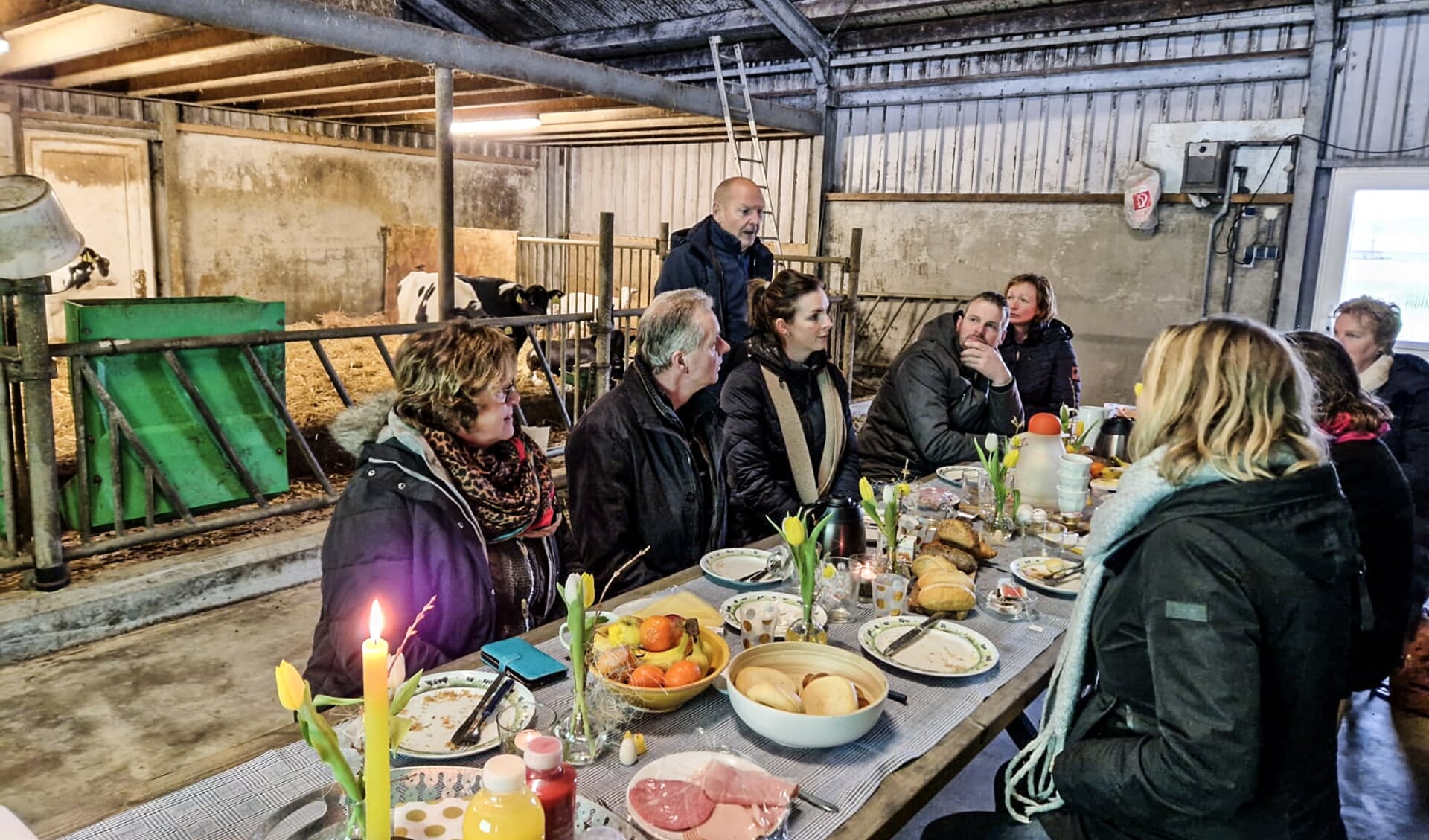 Ontbijten in de jongveestal van de familie Koopmans in Haricht Foto PB Harich Ruigahuizen