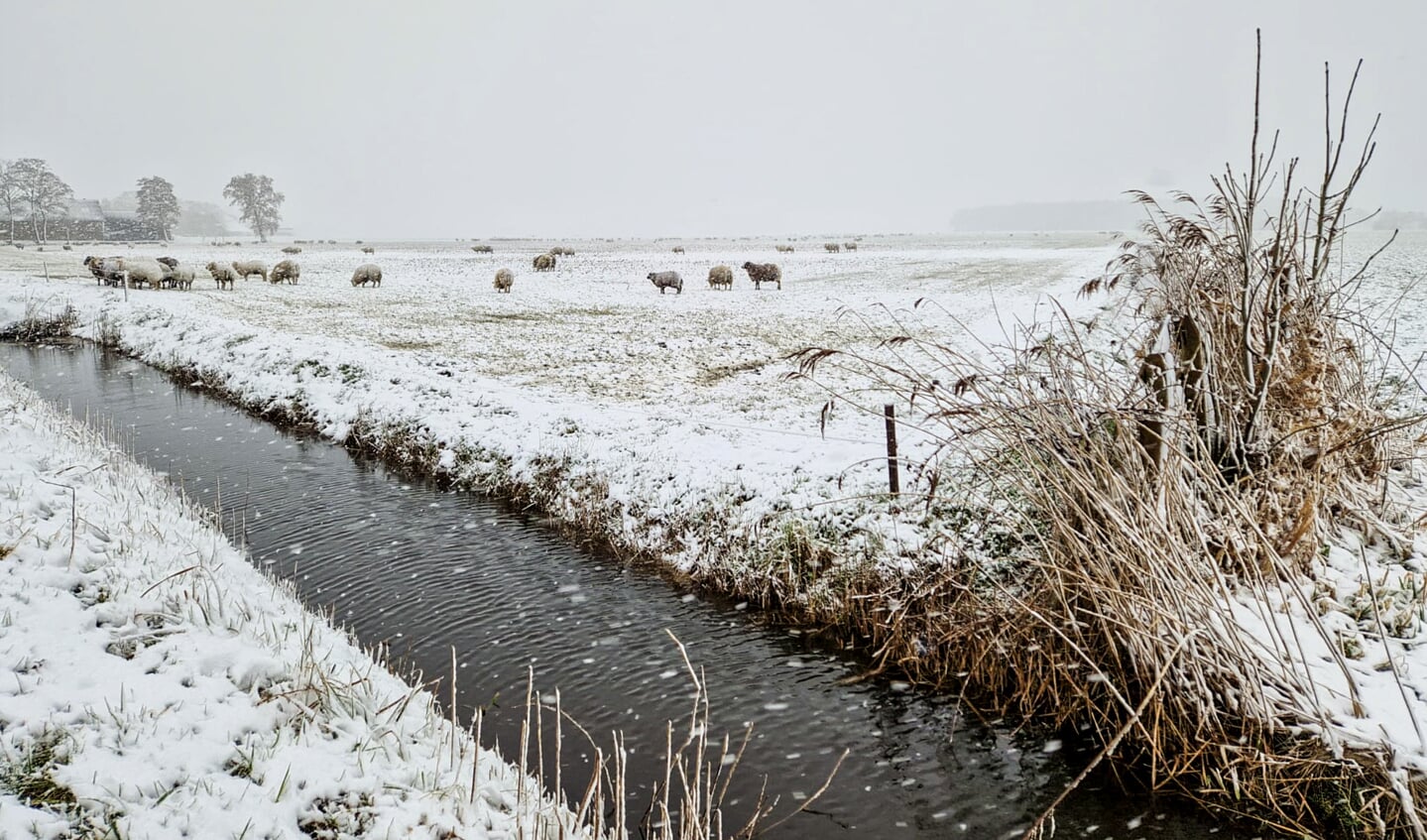 Sneeuw in De Fryske Marren Foto Gewoan Dwaan - Douwe Bijlsma