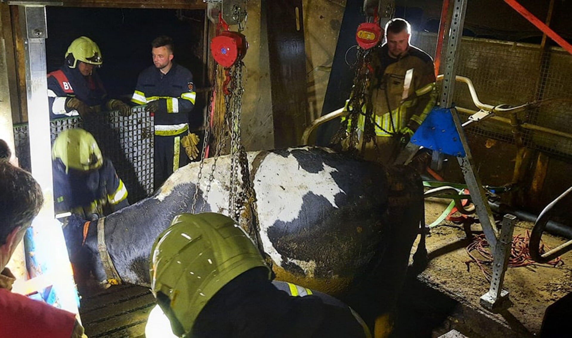 Koeien zakken door rooster in stal Bantega Foto Brandweer Lemmer