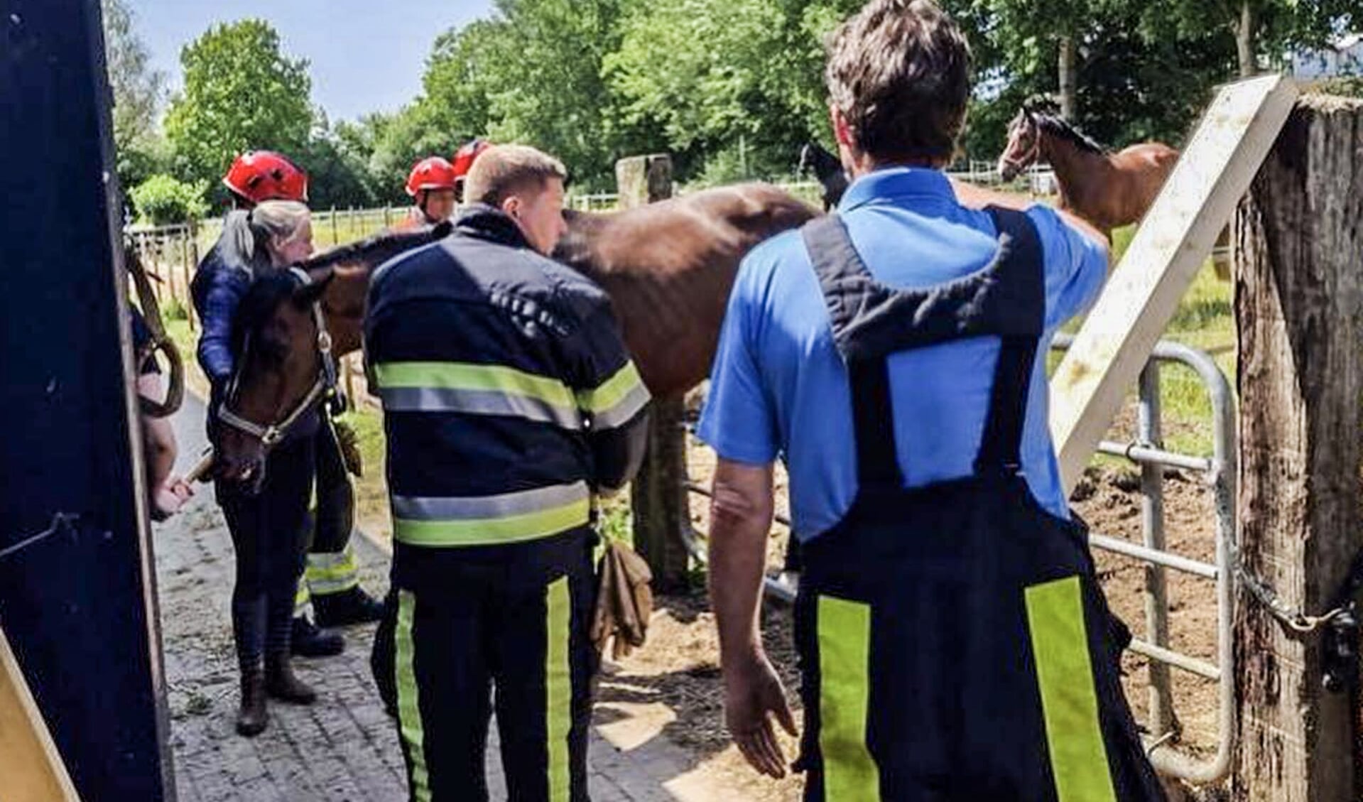 Brandweer Joure helpt paard van hek Foto Brandweer Joure 