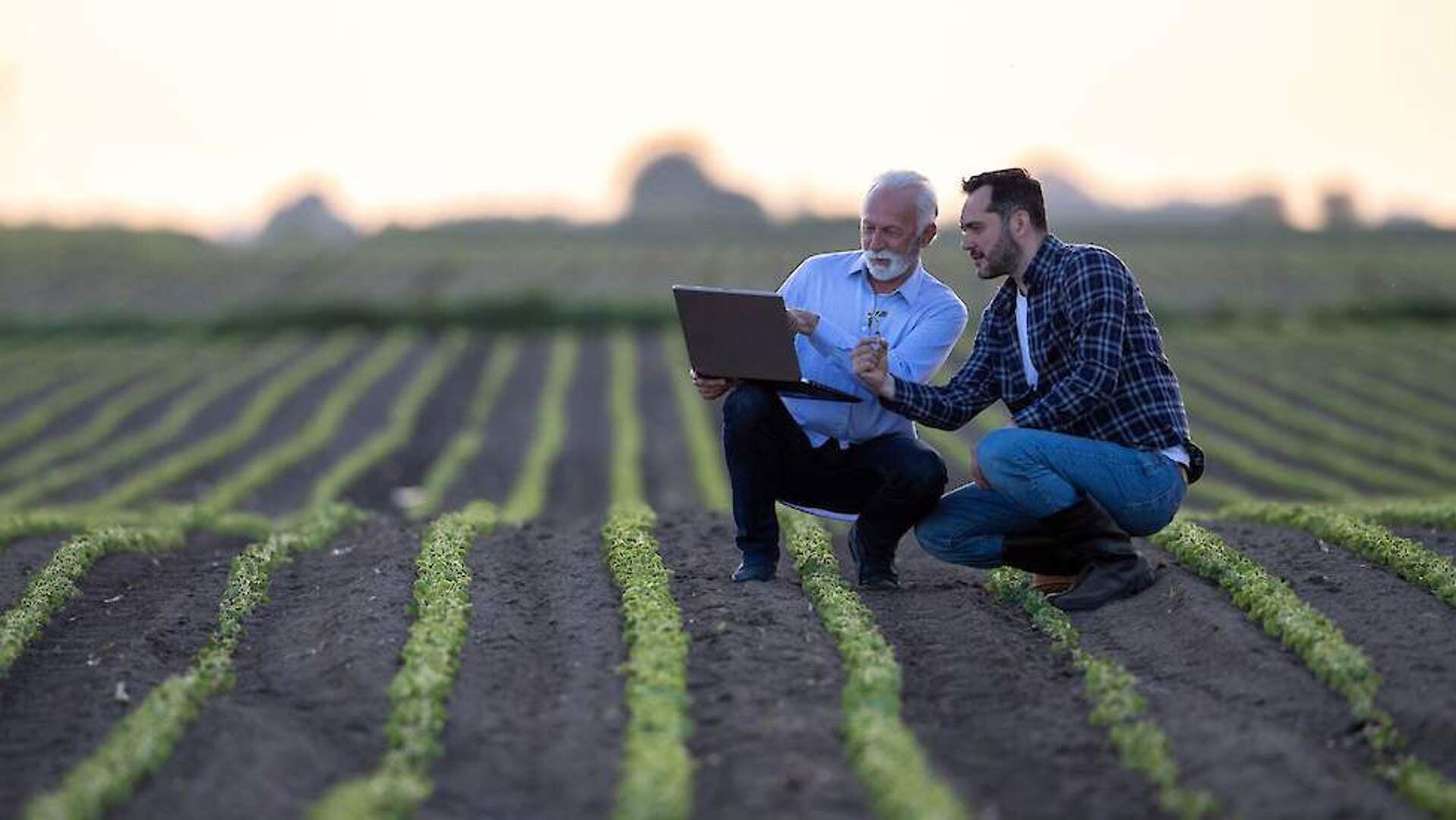 Nieuwe subsidie voor innovatieprojecten in de landbouw in Noord-Nederland