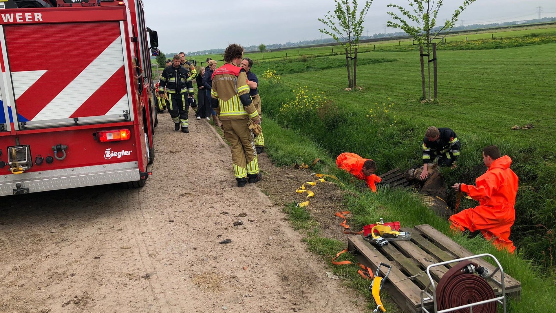 Brandweer Haalt Paard Uit De Sloot In Rottum - Groot Heerenveen