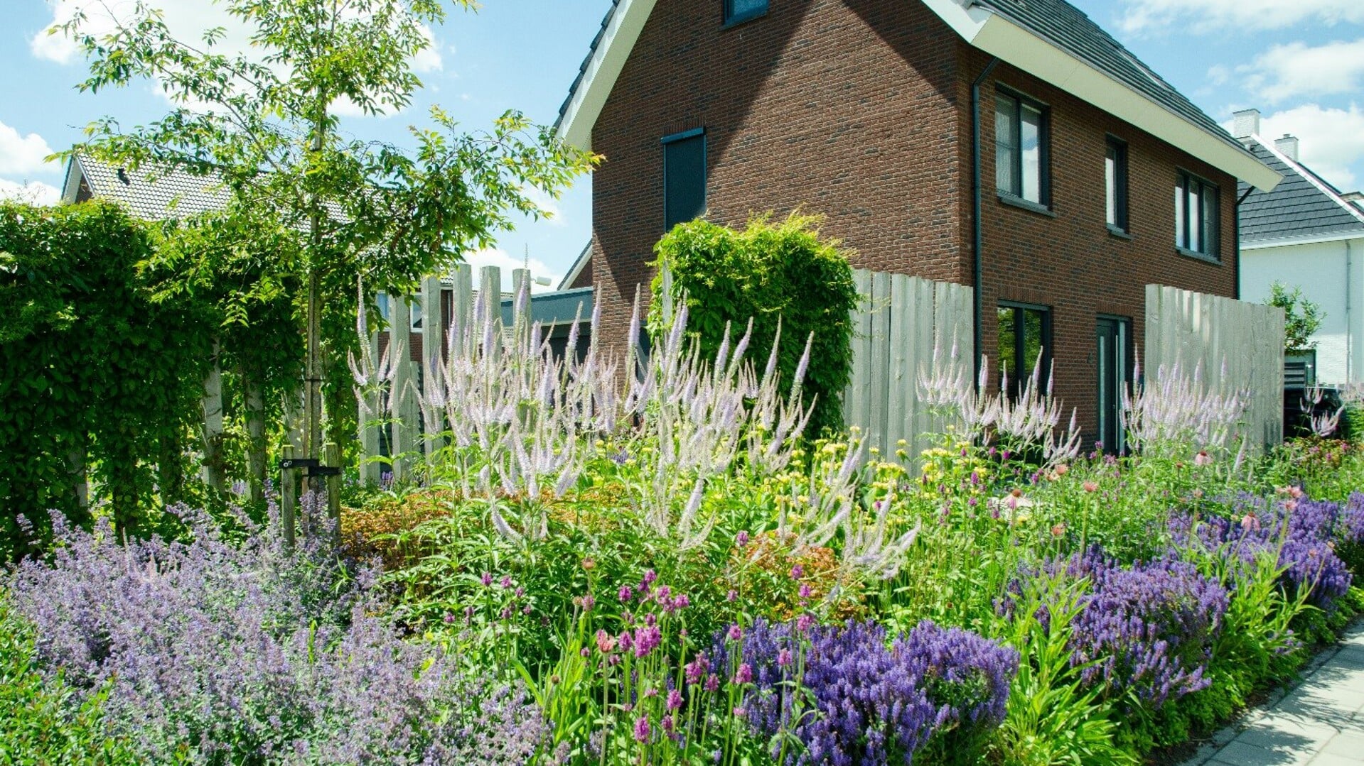 Prijsuitreiking mooiste zomertuin 2024