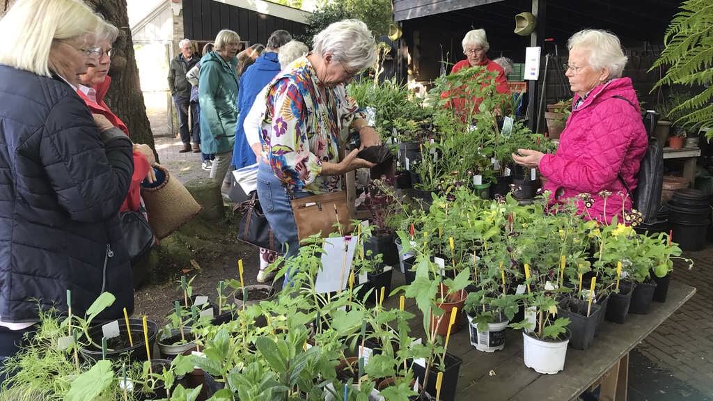 Groenmarkt in Tropische Kas Beetsterzwaag