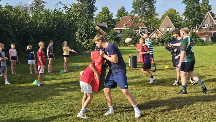 Afbeelding