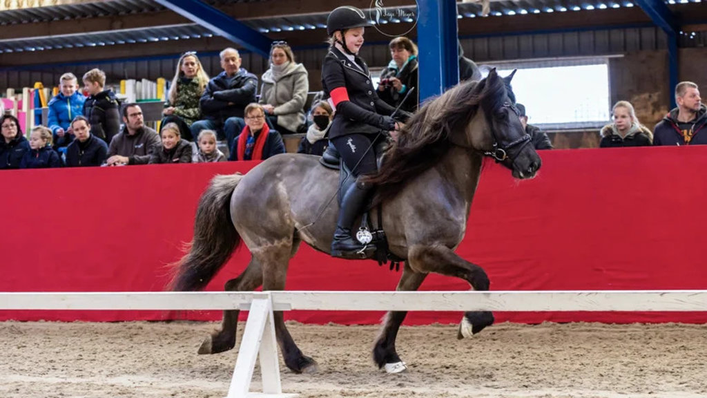 Manege uit Rijs organiseert wedstrijd met IJslandse paarden in Franeker
