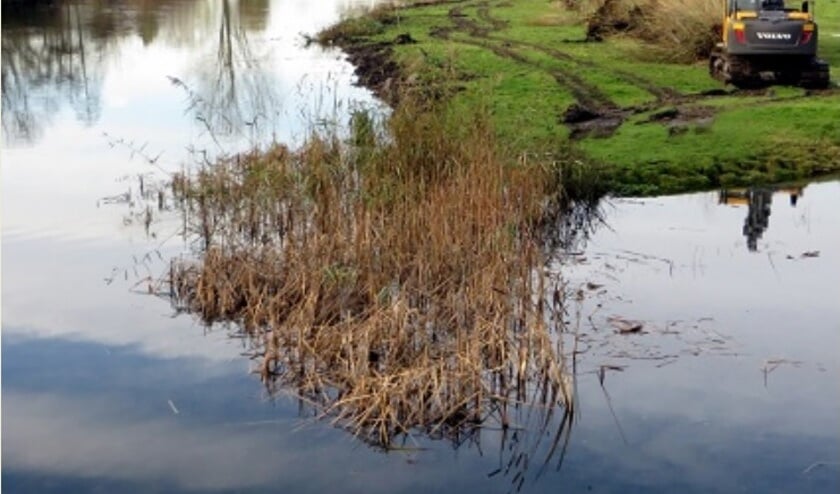 Het 'eiland in de Waal' bleek De Nes