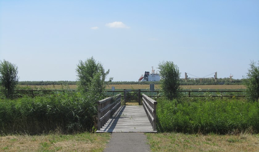 Riet, graslanden en water vormen het landschap van Het Buitenland. Foto: Bergarde Galleries.