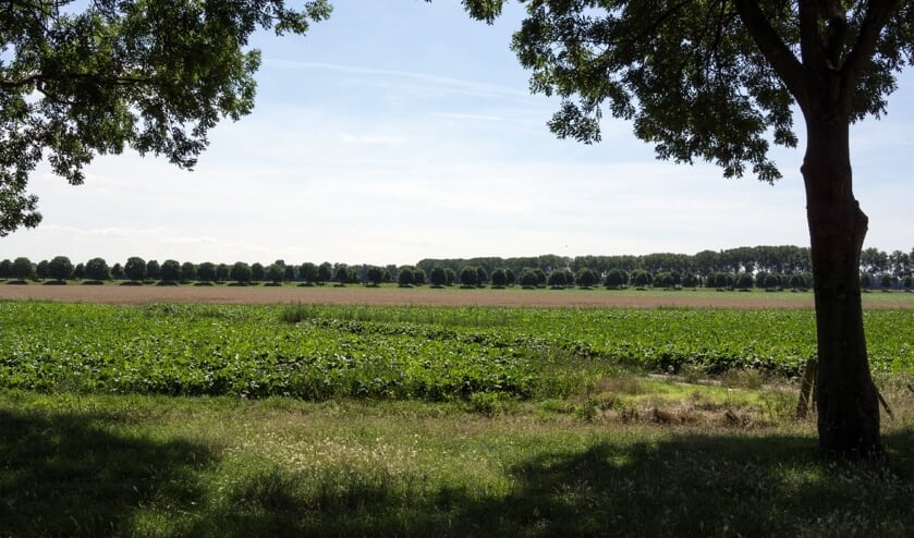 Essedijk in het Buijtenland van Rhoon.
