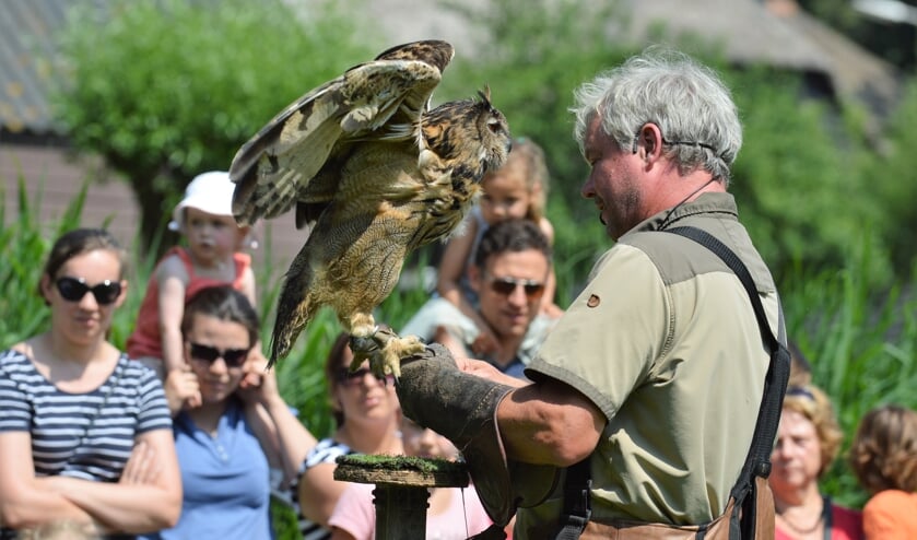 Er is ook weer een roofvogelshow op de kinderboerderij