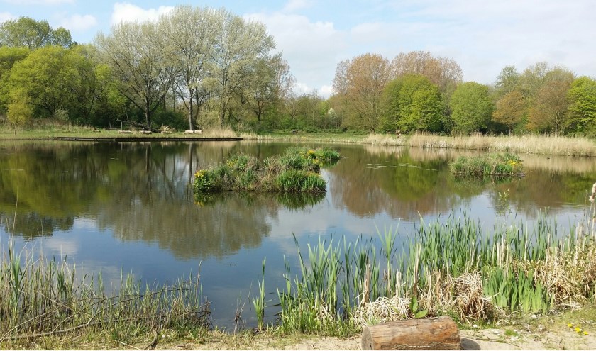 Op 30 juli wordt er door het bomenrijke Reijerpark gewandeld