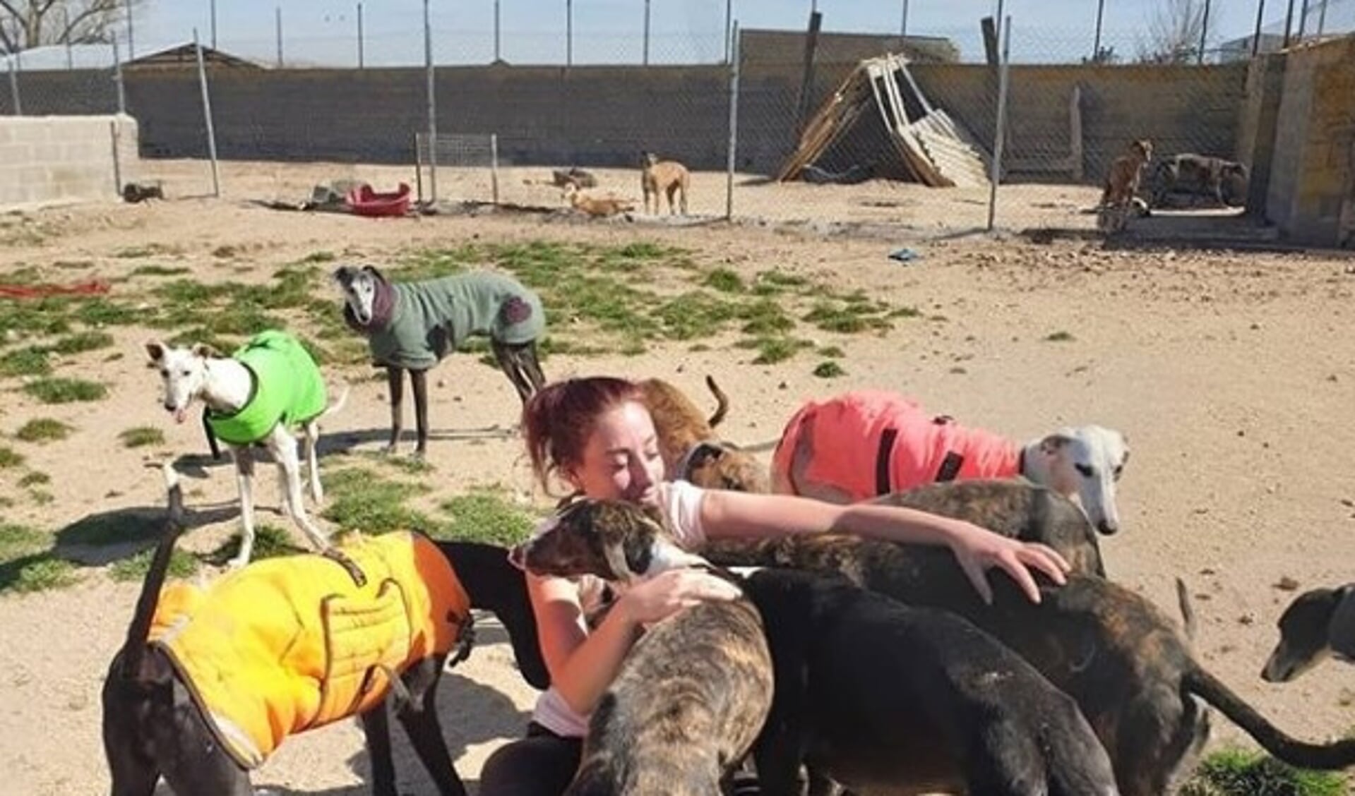 Rowana Pijpers tussen de honden bij Scooby in Spanje