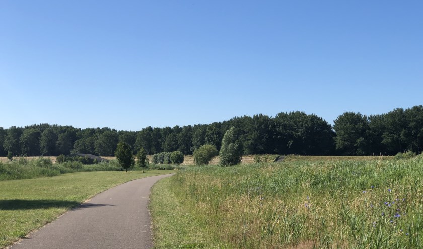 Zuidpolder