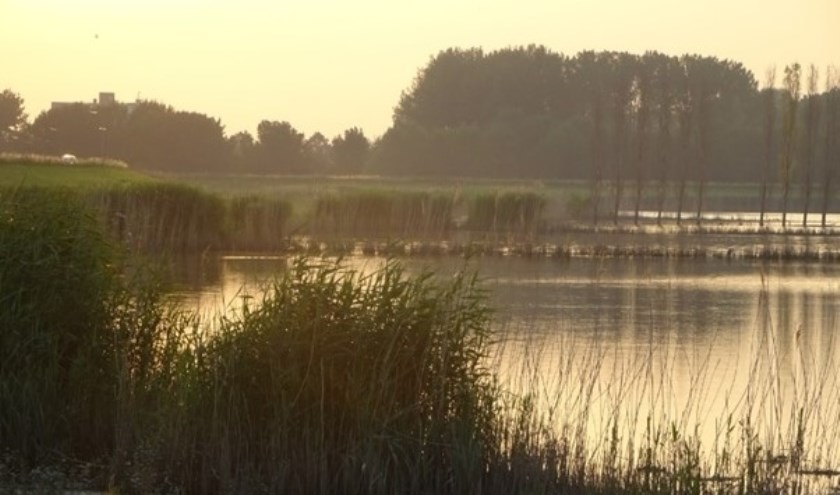 Crezéepolder in stemmig avondlicht (foto Aart van Dragt)