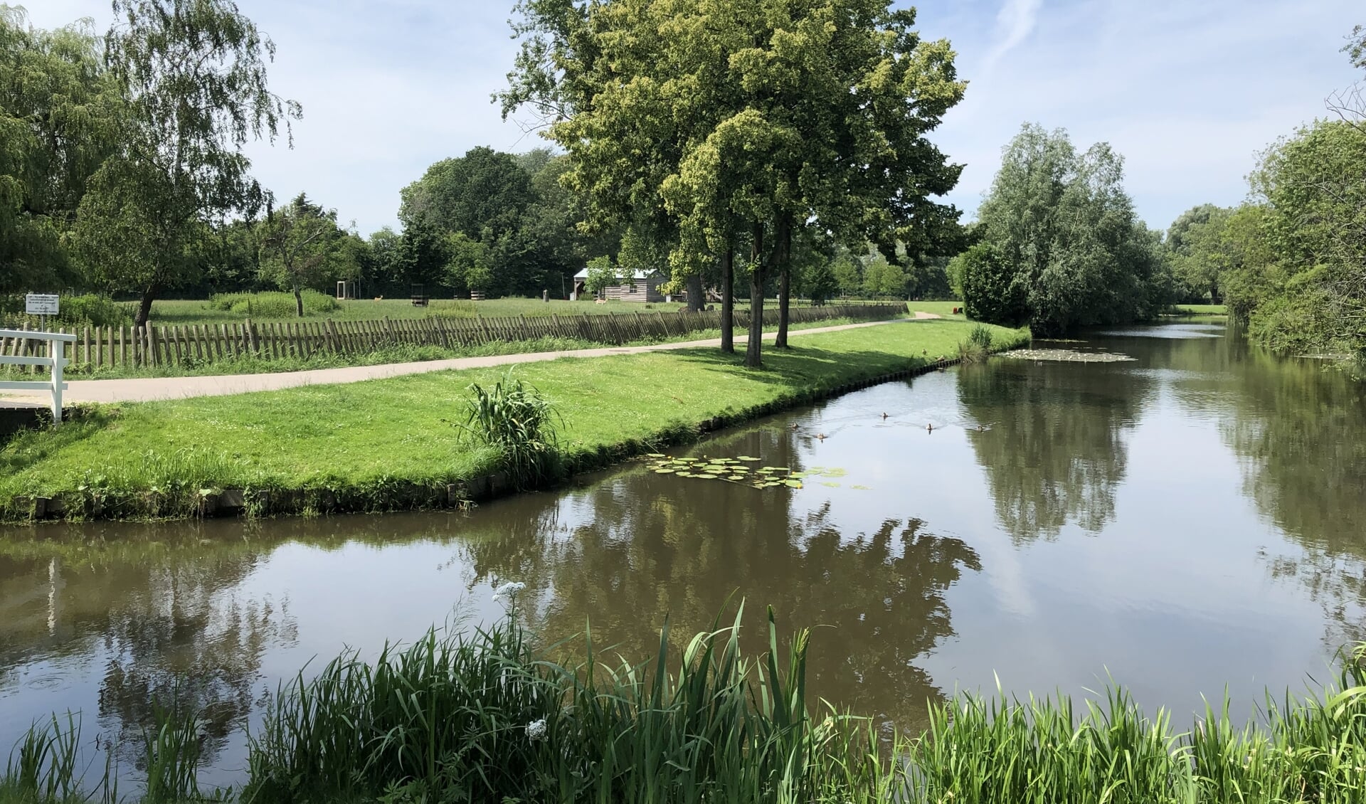Park van Rhoon in het najaar van 2019. 