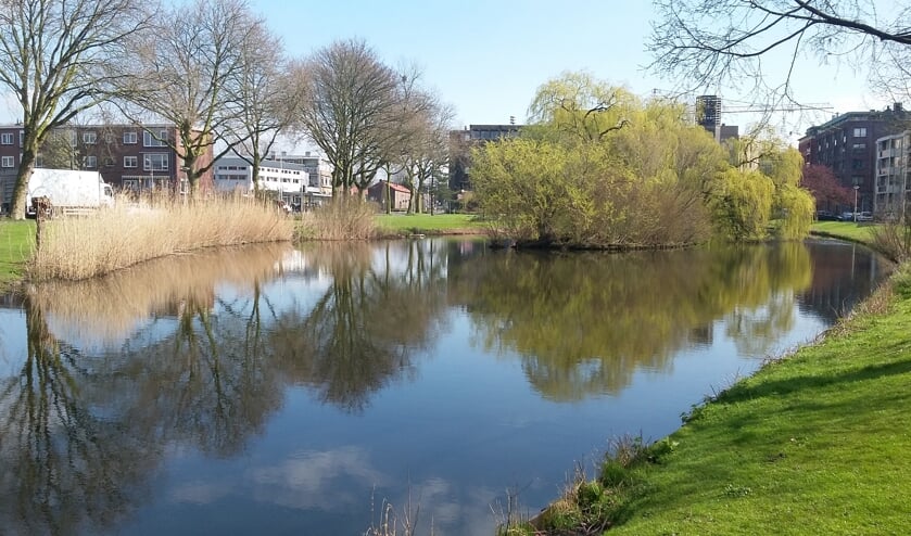 De Rembrandtsingel vervult een belangrijke rol in ons watersysteem
