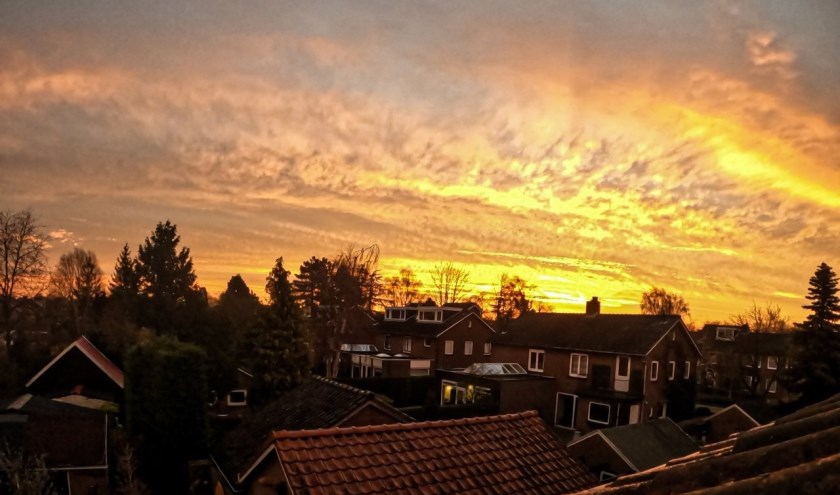 (foto:Luuk van Kwawegen)