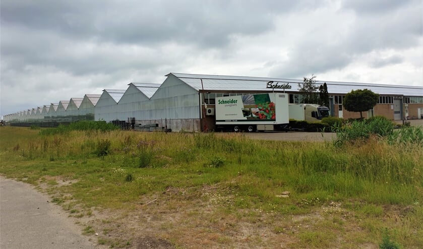 Schneider Youngplants is nu nog gevestigd aan de Voorweg