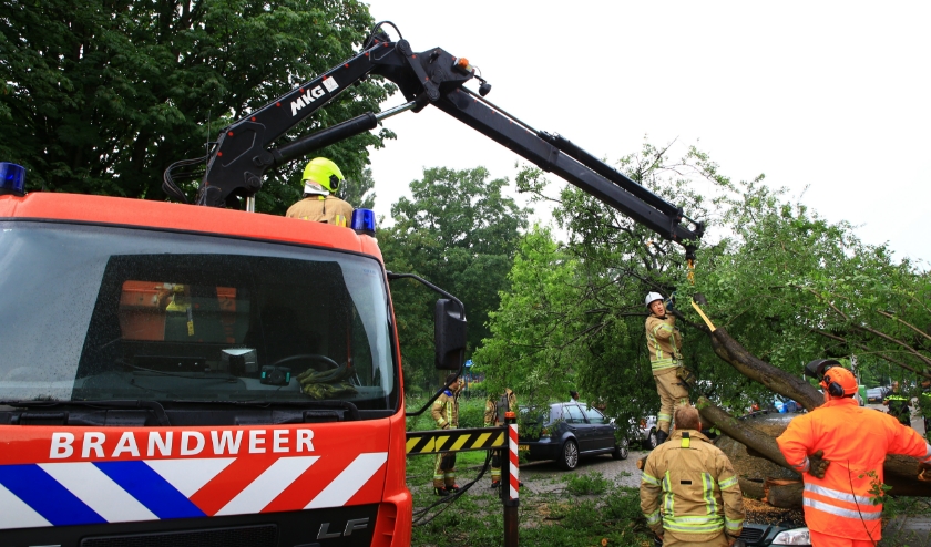 Op de Groen van Prinstererweg kwam een gevallen boom op twee auto's terecht (foto Dennis van Wingerden)