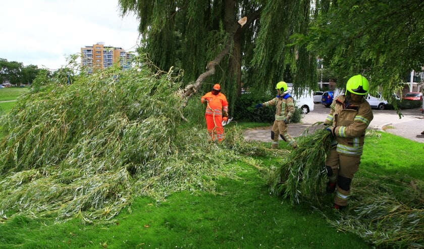 Foto: Dennis van Wingerden