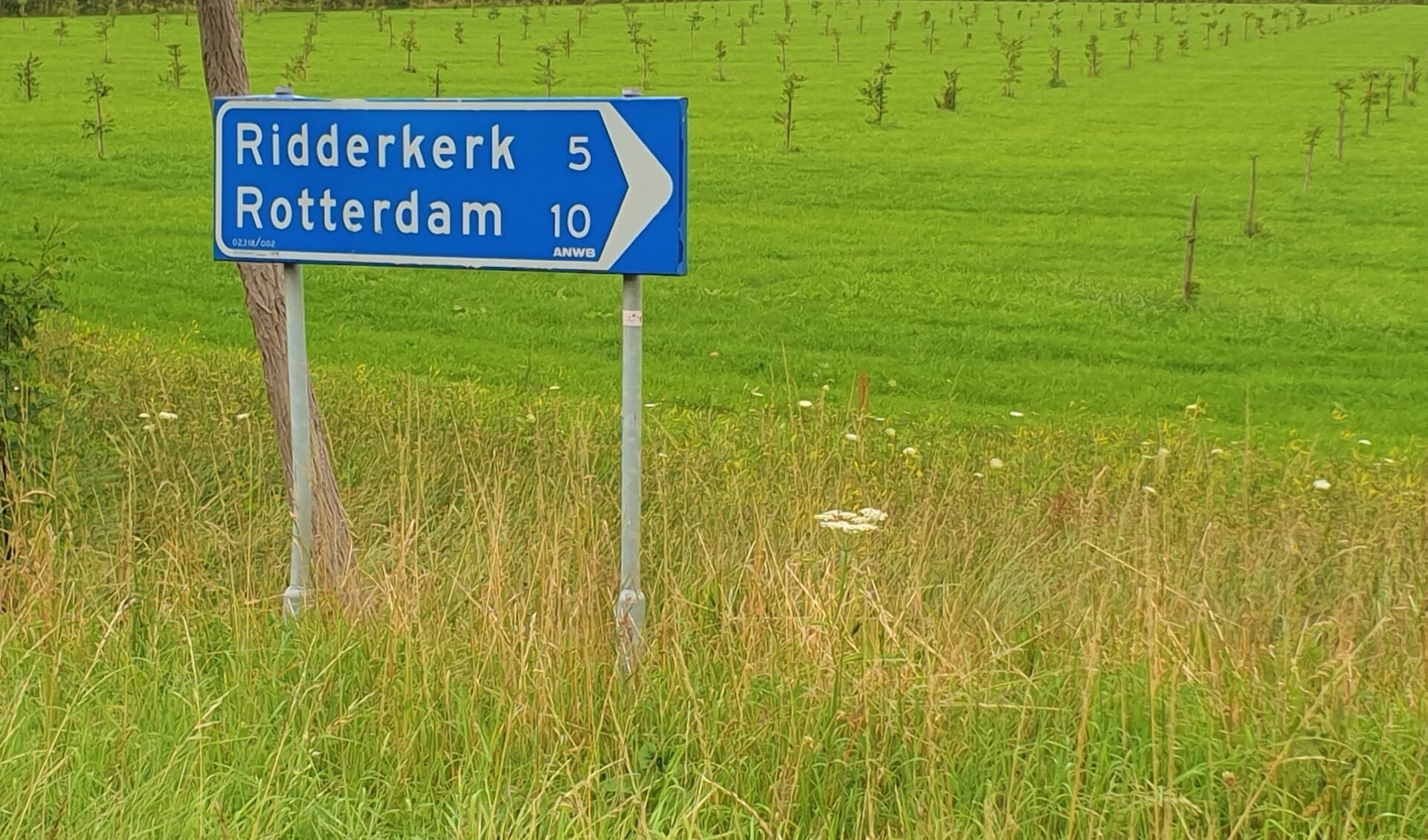De PvdA wil een boomgaard zien en geen nieuwe weg