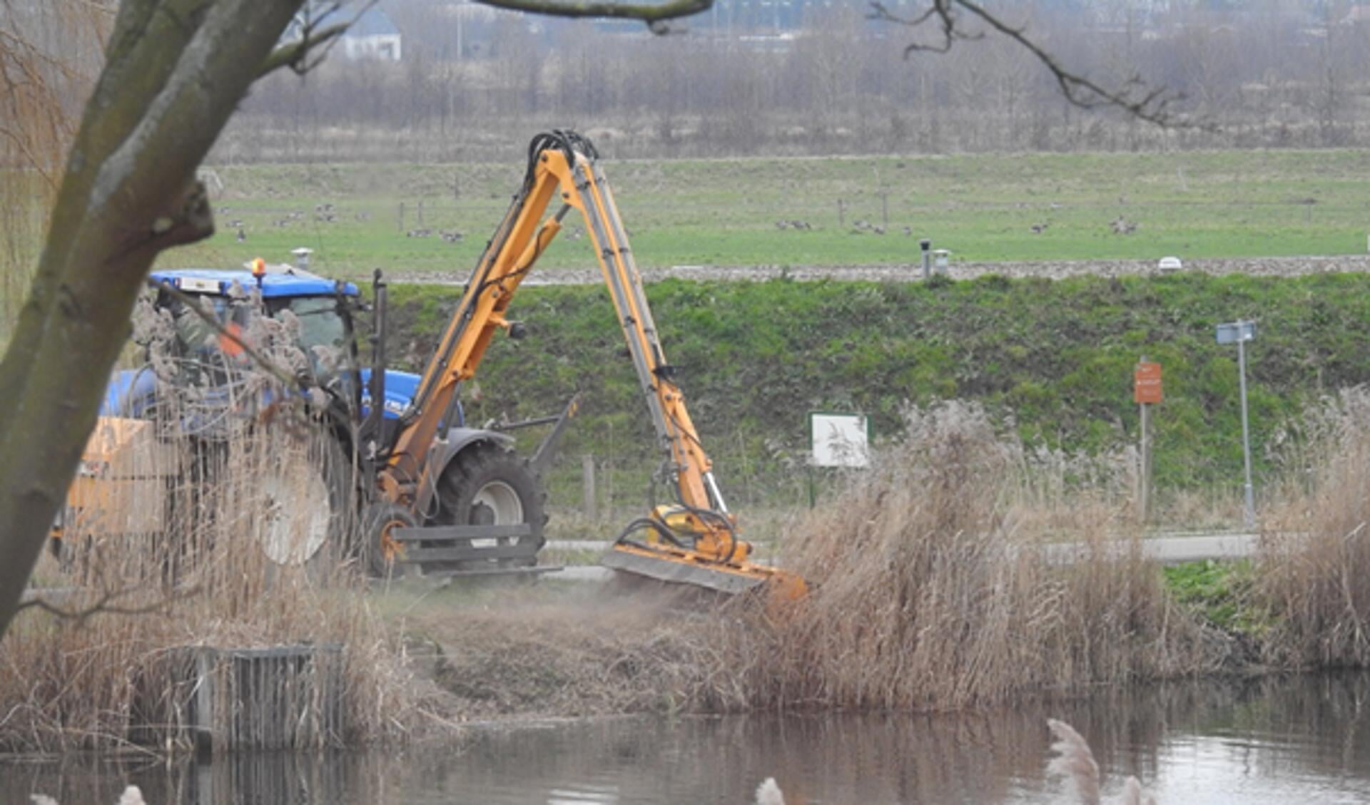 Klepelen bij de Waal is slecht voor de biodiversiteit