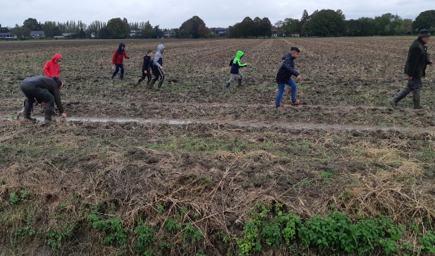 <p>De kinderen konden onder andere de polder van Albrandswaard ontdekken. </p>