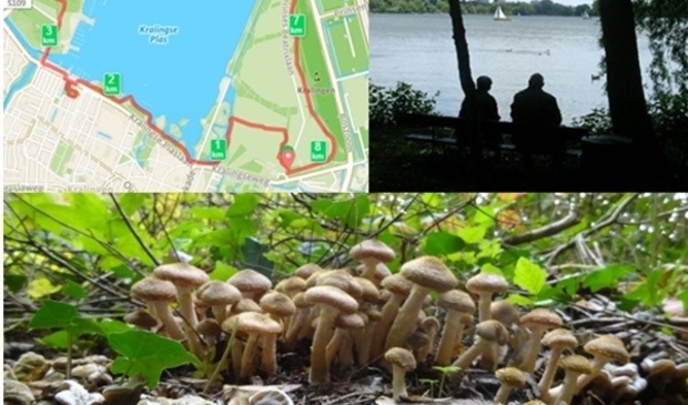 <p>Een stuk prachtige natuur dichtbij huis</p>