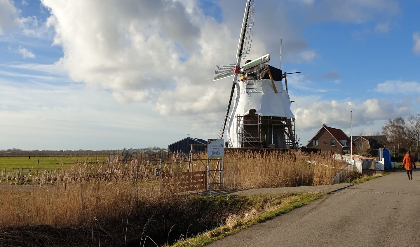 Achter het witte folie wordt het metselwerk van de molen vernieuwd.
