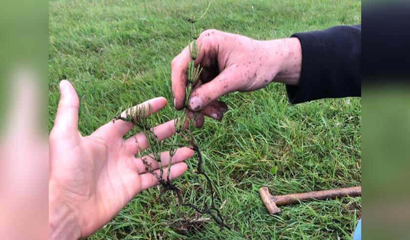 <p>Boeren bekijken de wortels van planten voor beter bodembeheer</p>