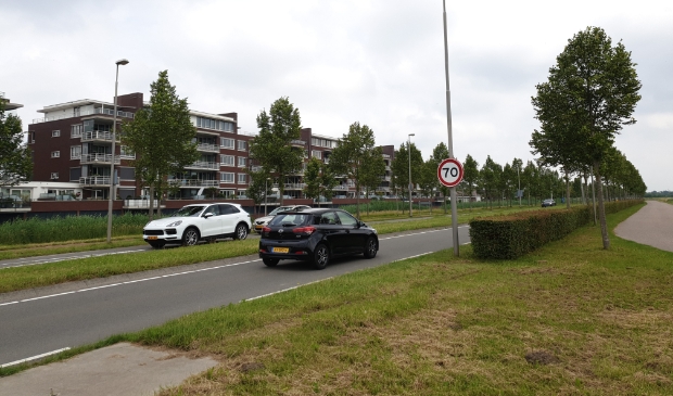 <p>De Leedeweg.</p>
