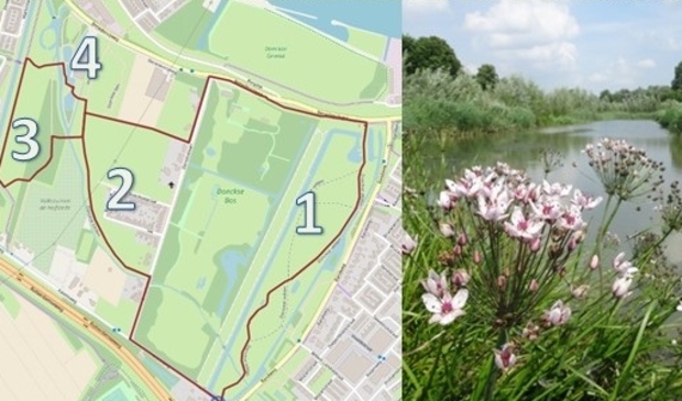 <p>Een rondje van ongeveer 4,2 kilometer</p>