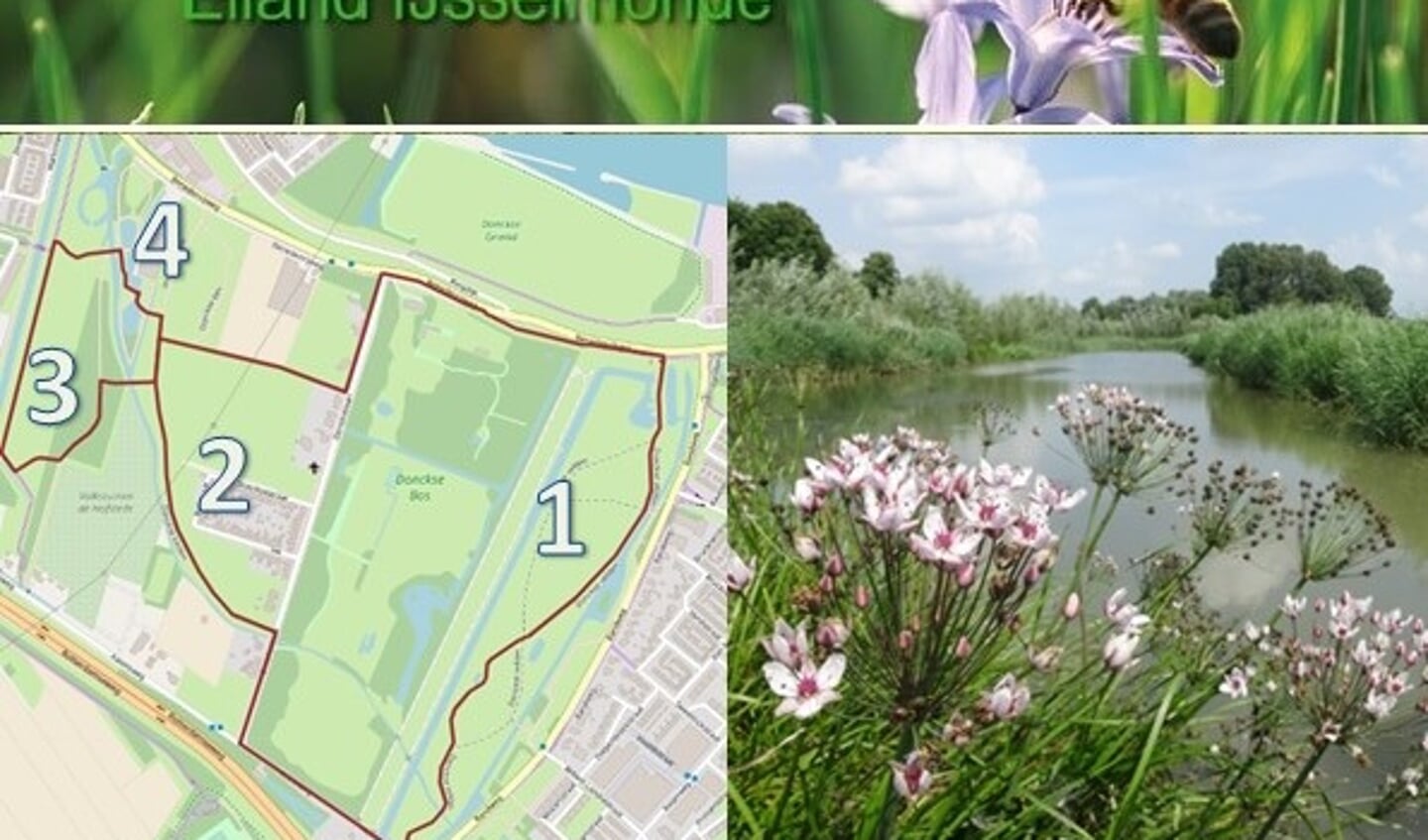 Een rondje van ongeveer 4,2 kilometer