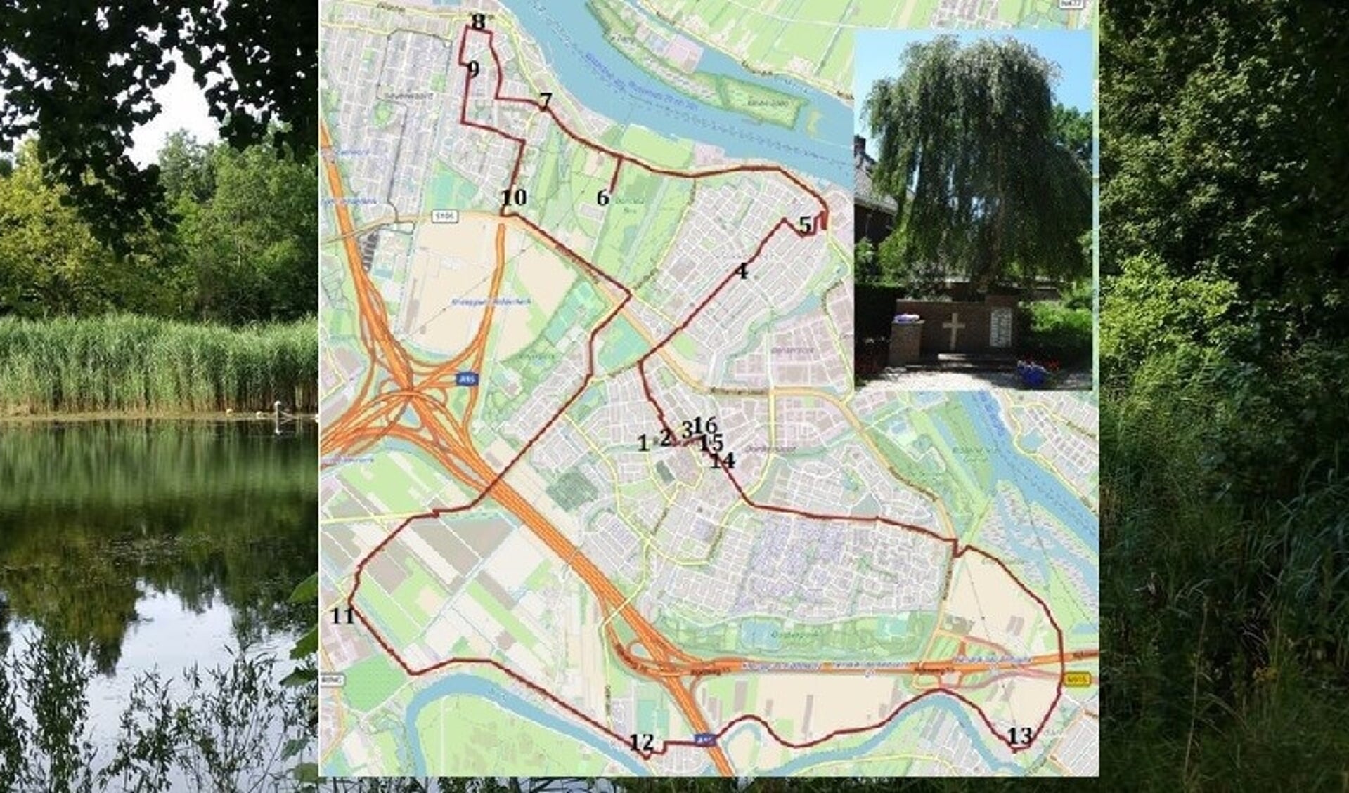 De route langs de gedenkbomen in Ridderkerk