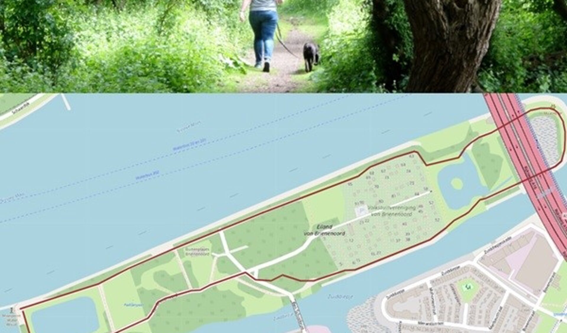 Een wandeling van 2½ km op het Eiland van Brienenoord