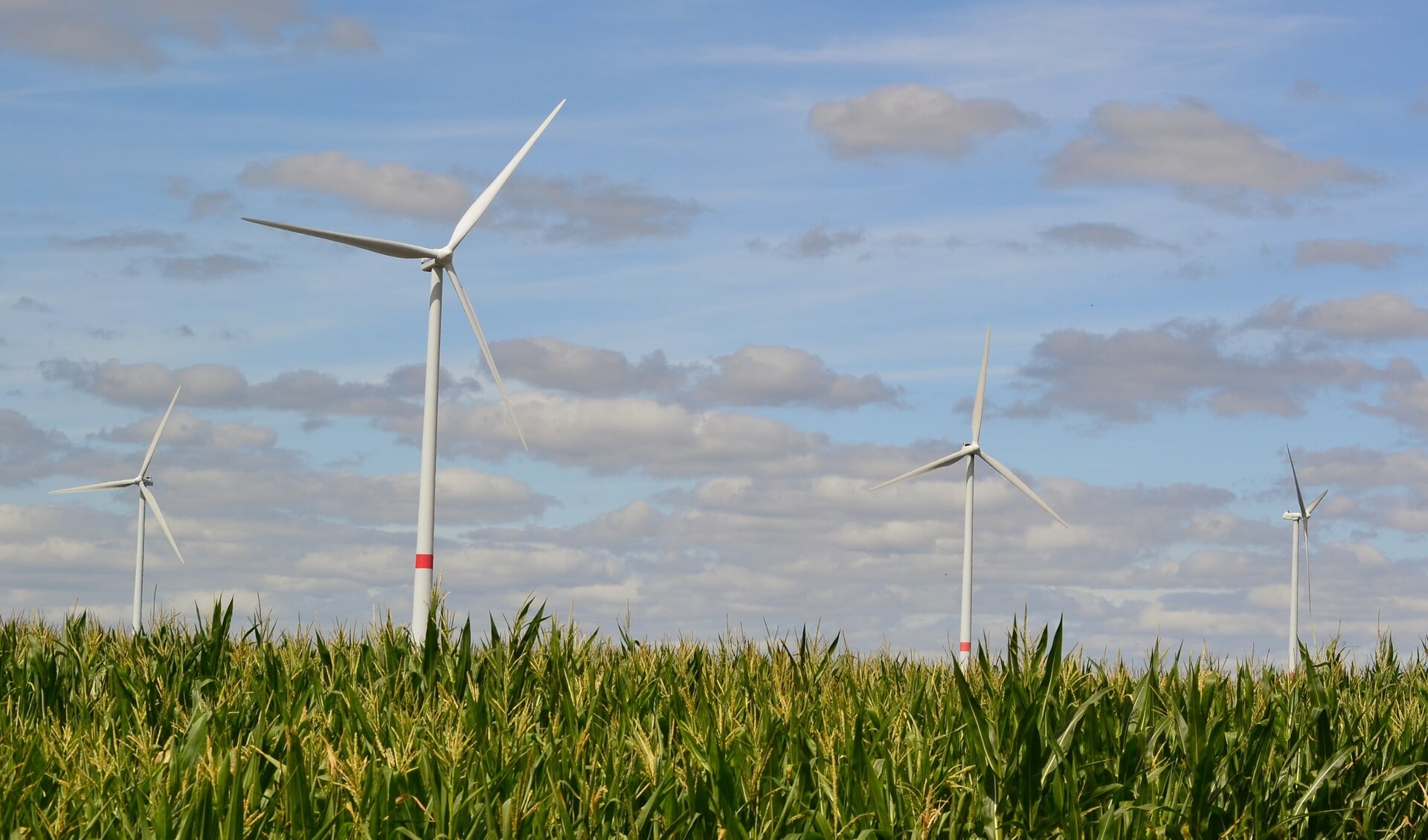 Windturbines. (foto: Arco van der Lee)