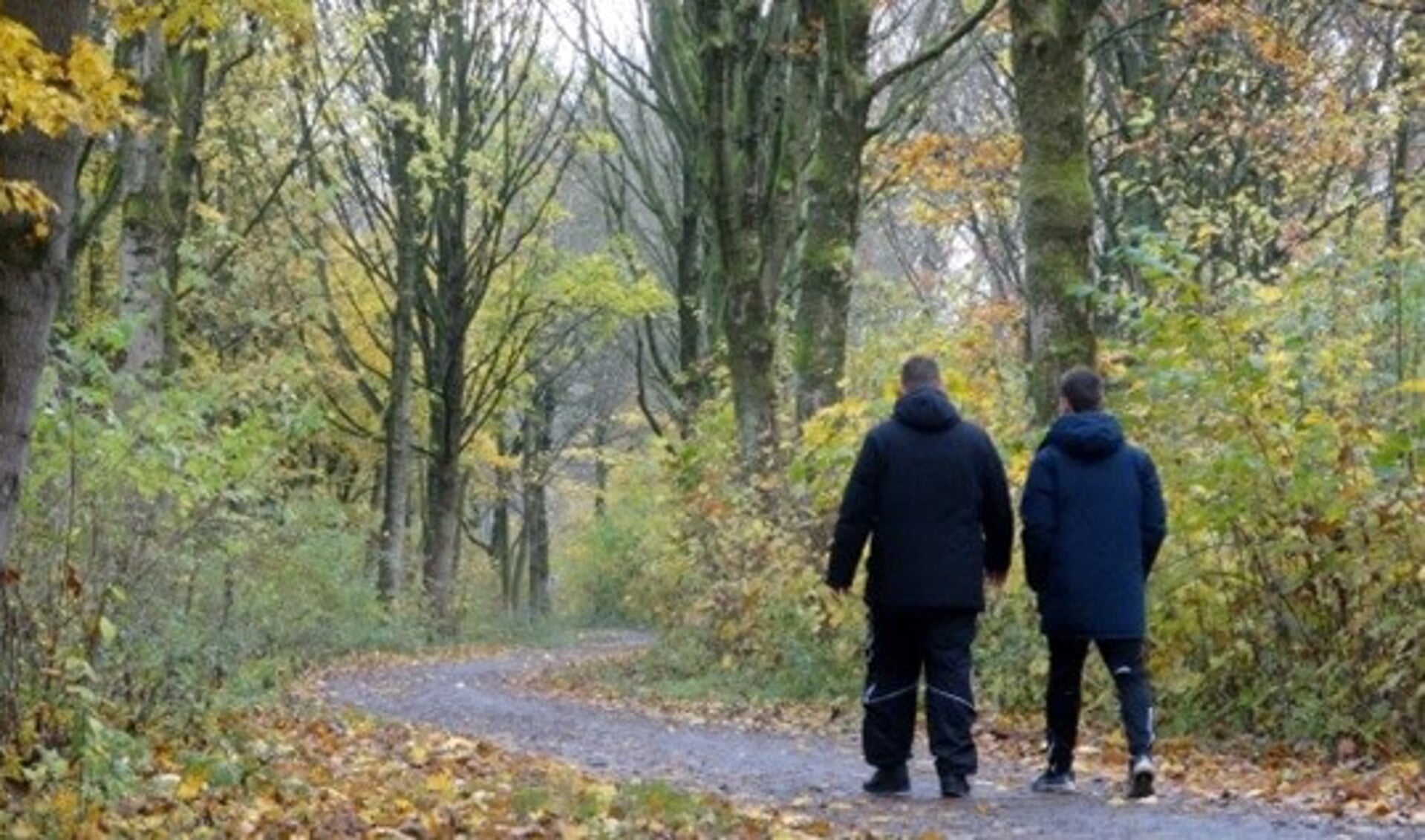 Herfst in het Oosterpark