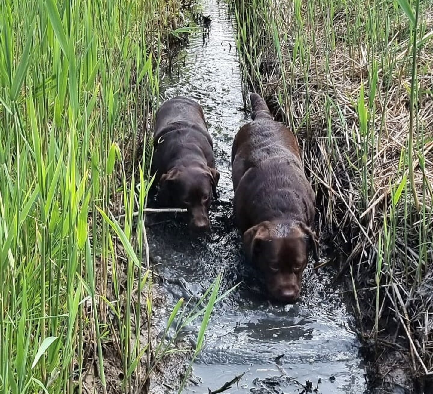 Moeder Fayen (rechts) en dochter Nola bij de Carnisse Grienden. (Foto: Jolanda Kruithof)