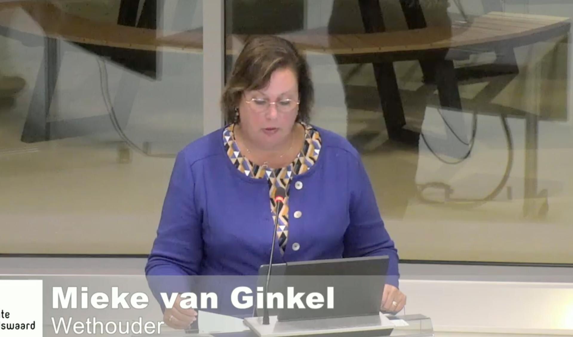 Wethouder Mieke van Ginkel tijdens de raadsvergadering.