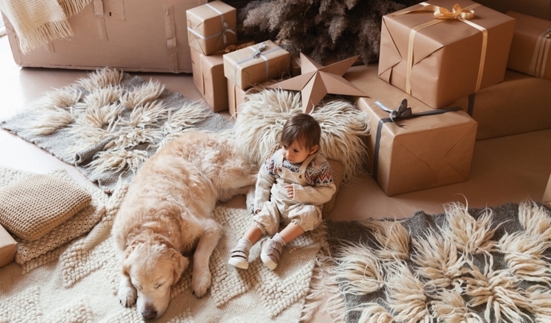 Beautiful baby wearing gender neutral clothes with golden retriever dog near alternative eco friendly Christmas tree and decorations in pastel monochrome scandinavian style living room.
