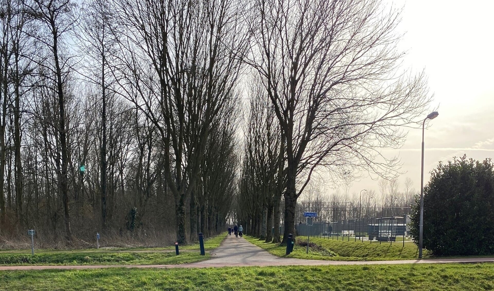 Het Essenlaantje van het Oosterpark dreigt voor een deel te verdwijnen