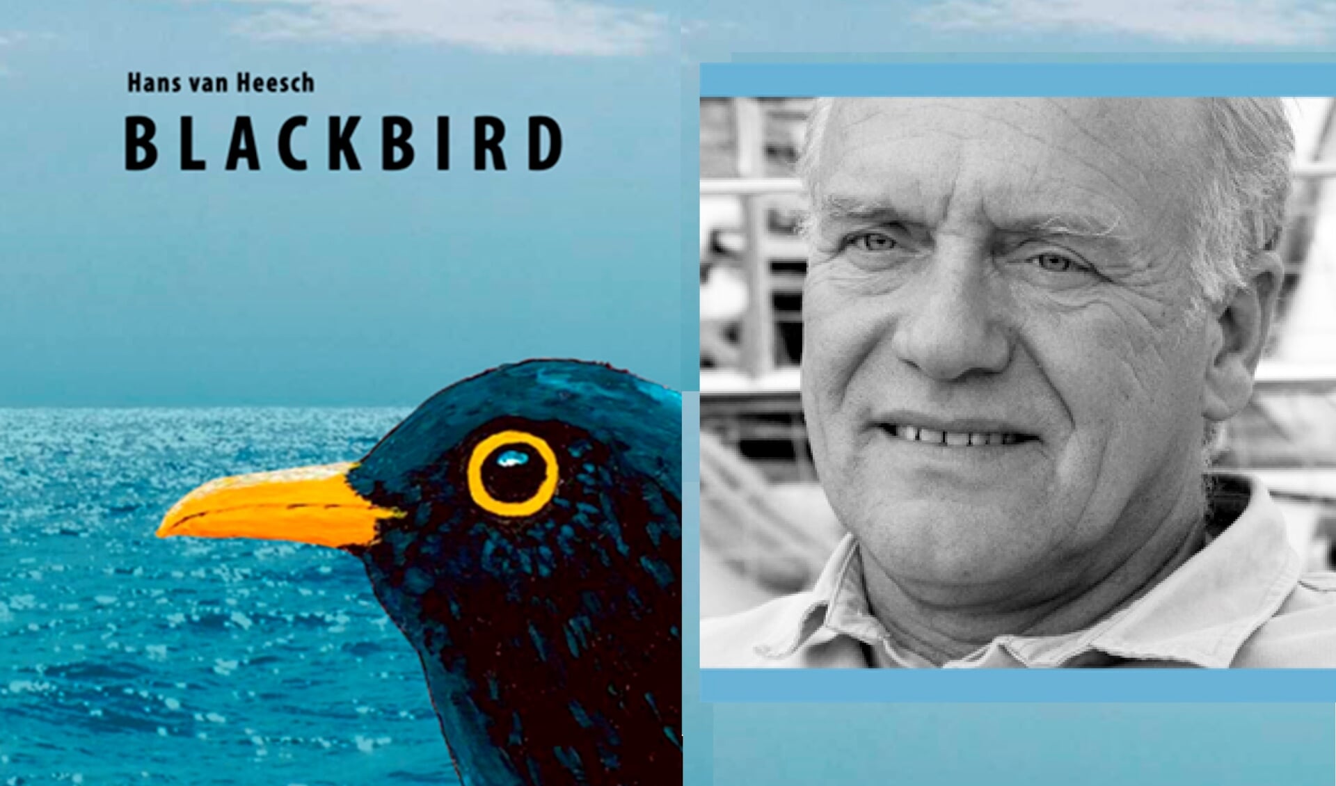 De nieuw roman van Hans van Heesch is "Blackbird"